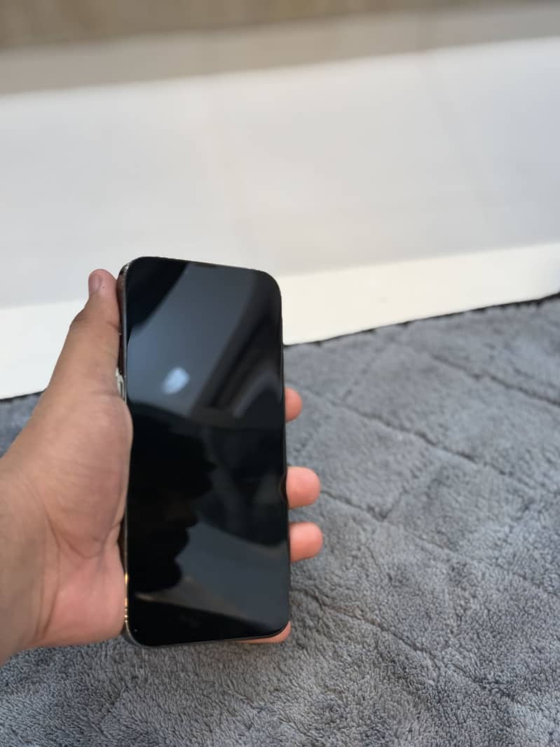 Apple iPhone 13 Pro Max 1