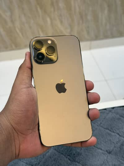 Apple iPhone 13 Pro Max