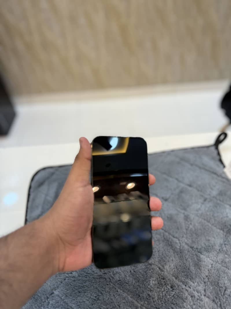 Apple iPhone 13 Pro Max 2