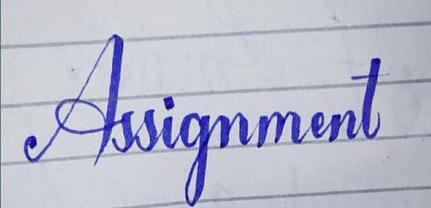 Assignment writter