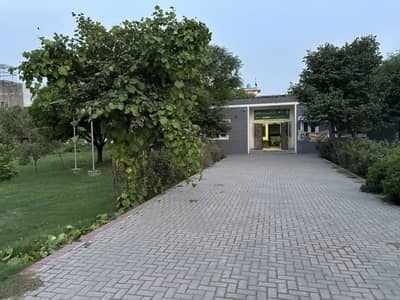 Ladies Health Visitor Required