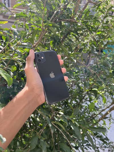 Apple iPhone 11 non pta 64gb