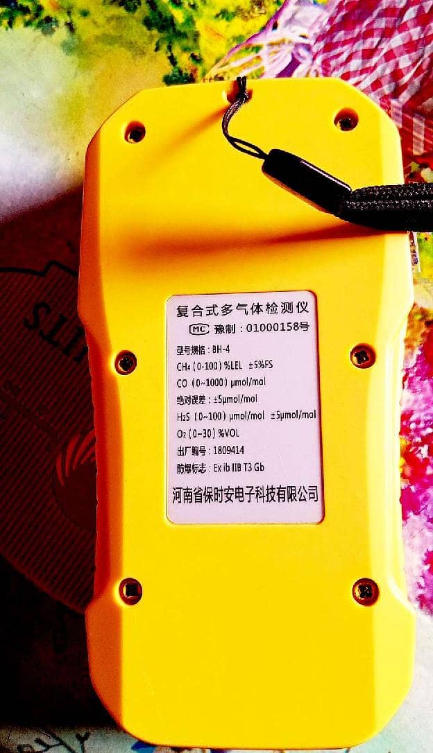 Multi gas detector 1