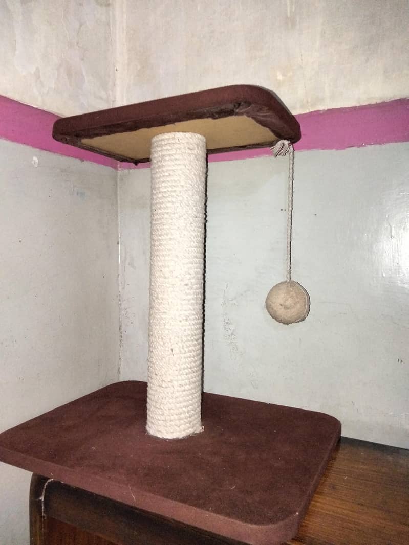 cat scratch post 0