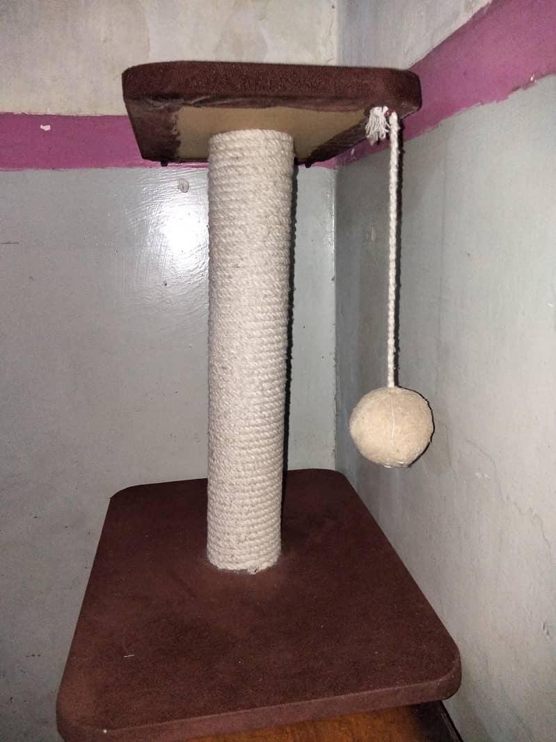 cat scratch post 1