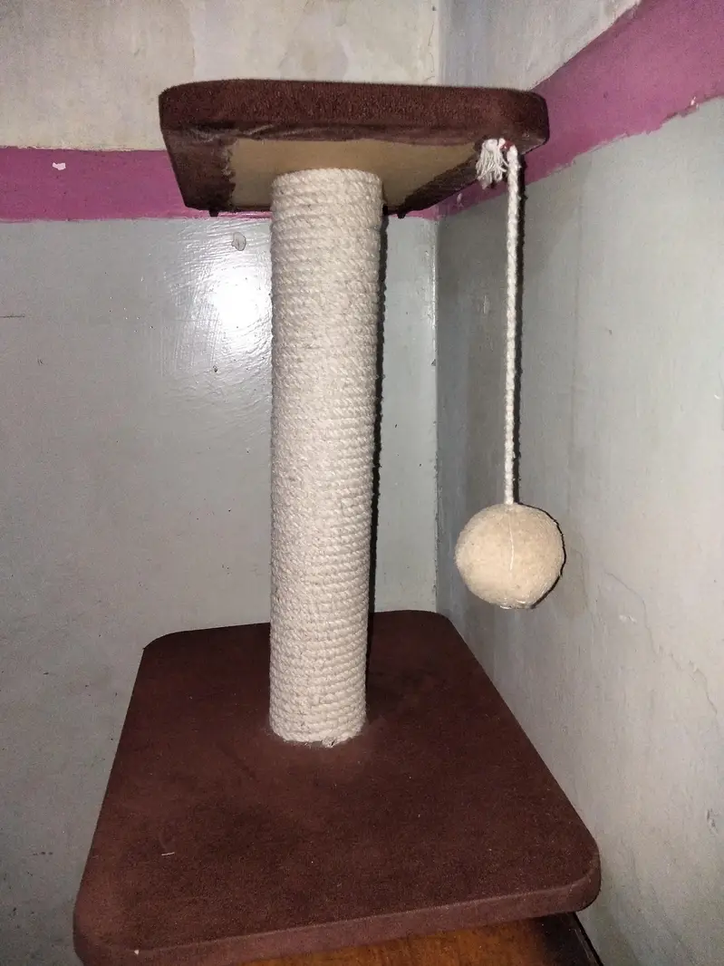 cat scratch post — photo 2