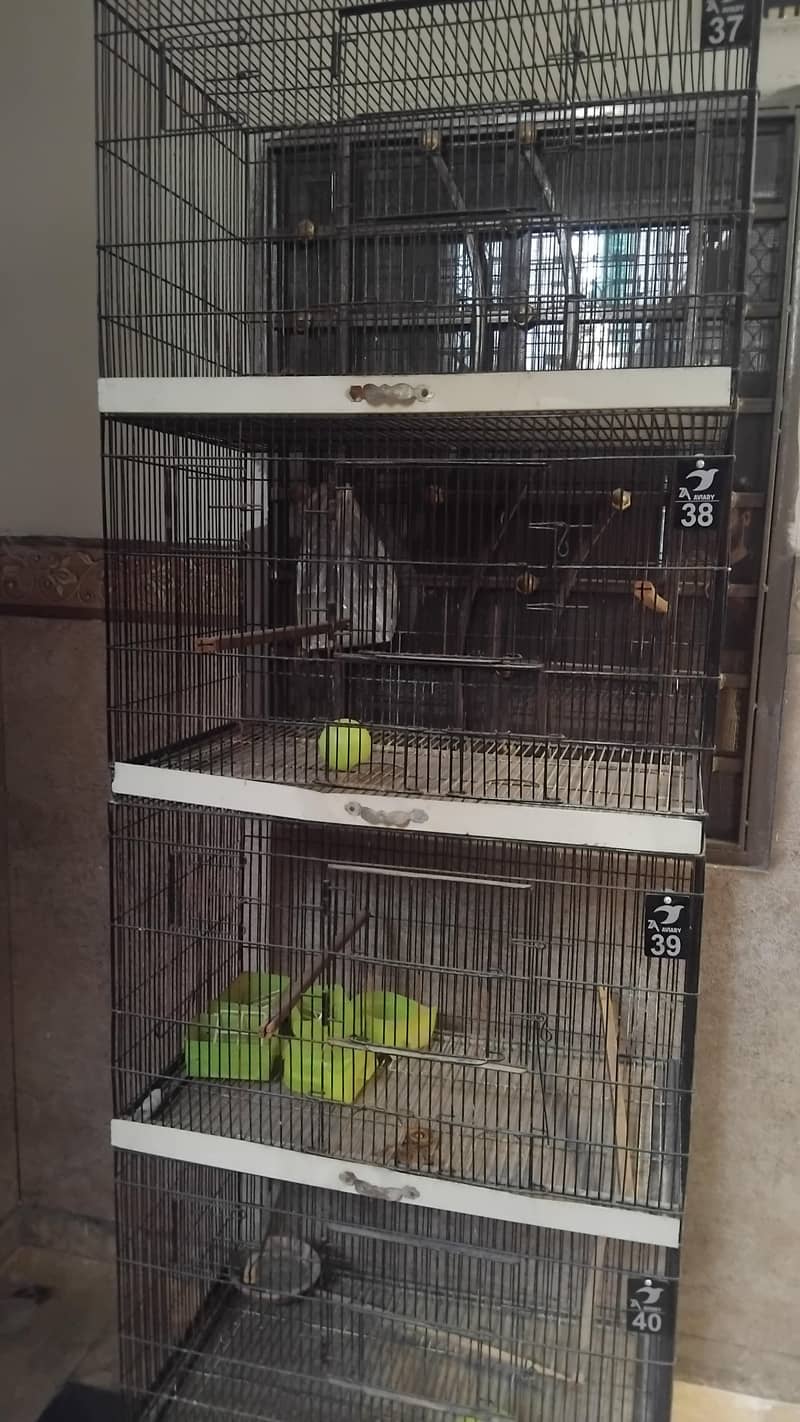 cages 1