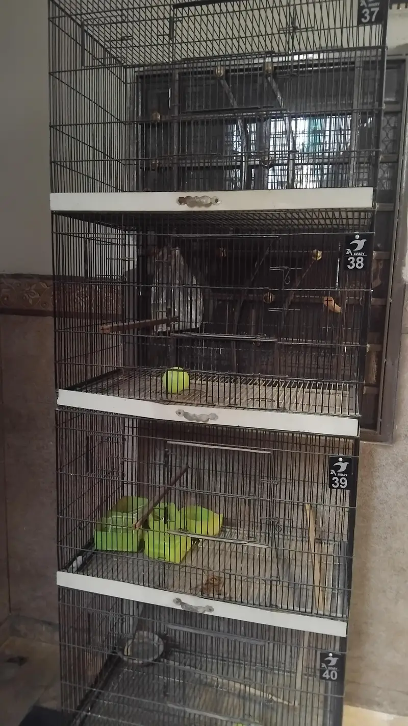 cages — photo 2