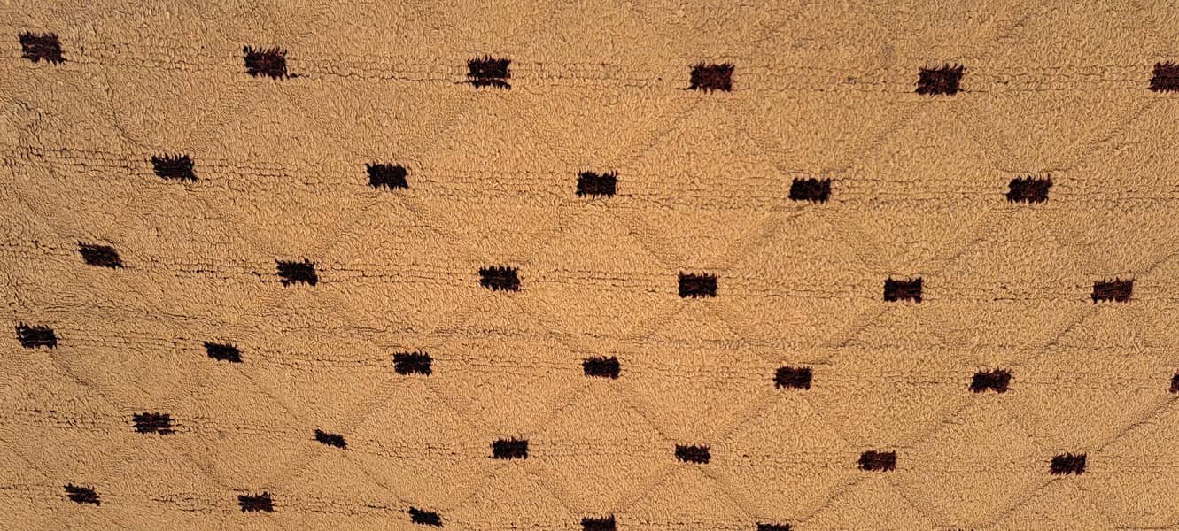Baige Carpet 0