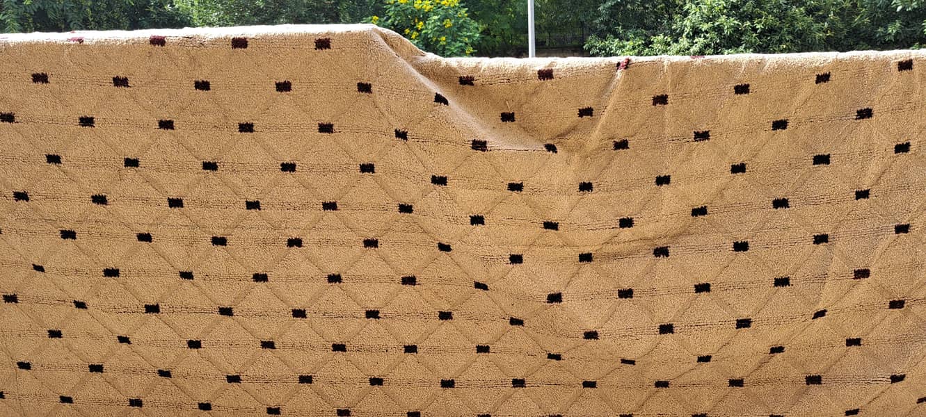Baige Carpet 1