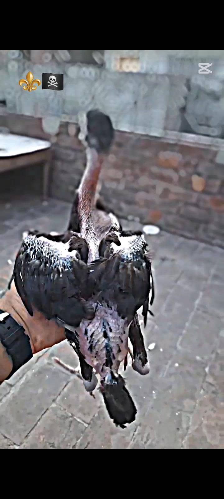 03019076291 1