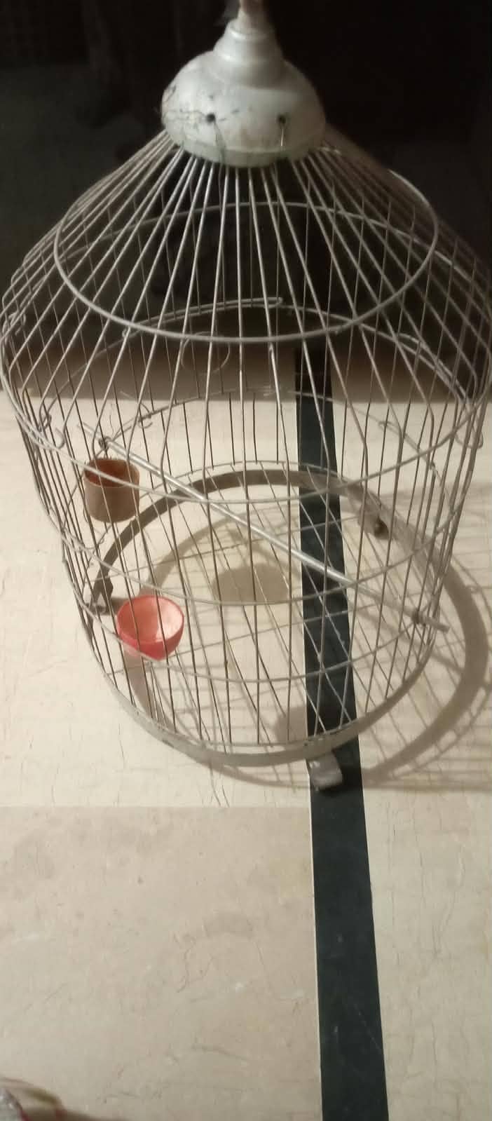 Cages 1