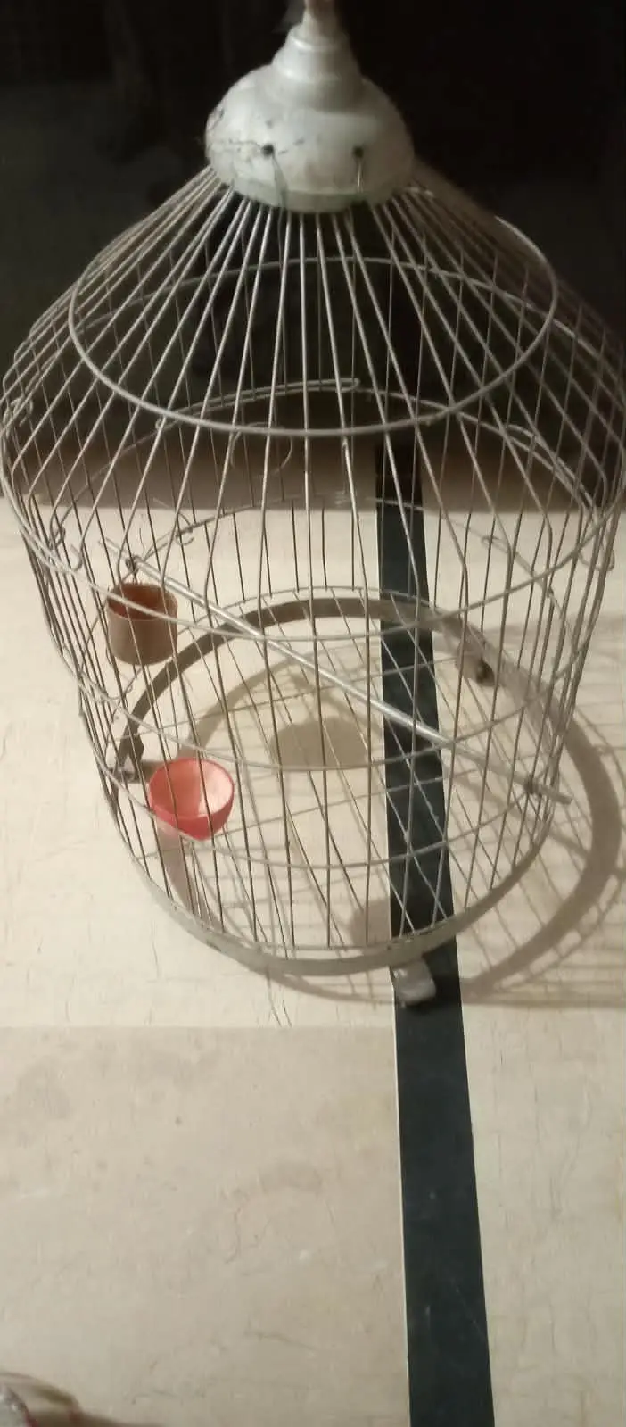 Cages — photo 2