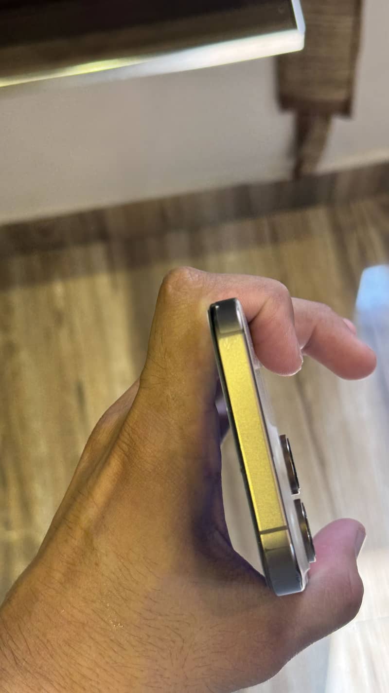 Apple iPhone 16 Pro Max 3