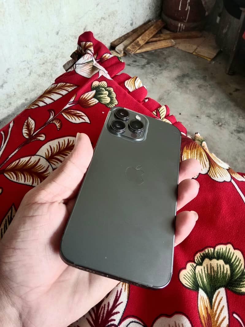Apple iPhone 13 Pro Max 2