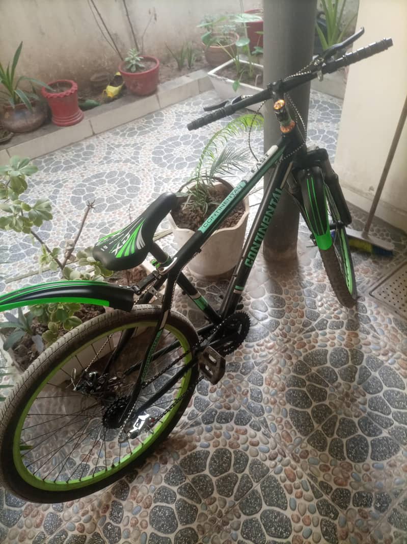 cycle/bycycle 1