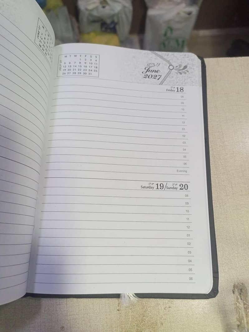 Diary 2027 6
