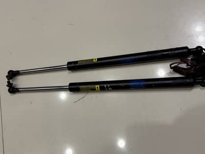 LAND CRUISER TRUNK DAMPERS
