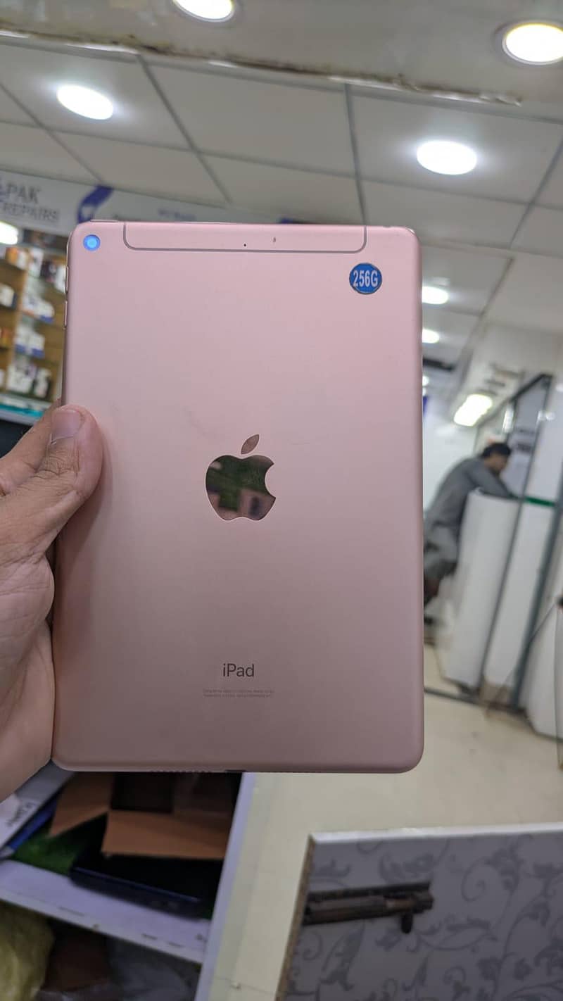 ipad mini 5 0
