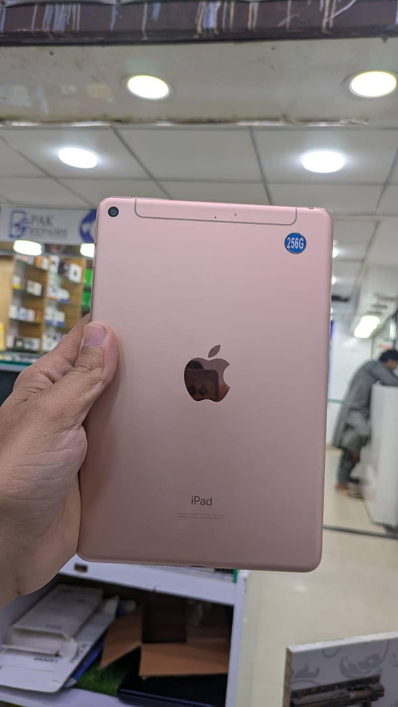 ipad mini 5 1