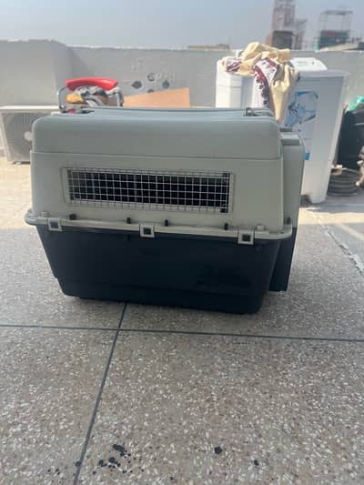 adult size dog cage