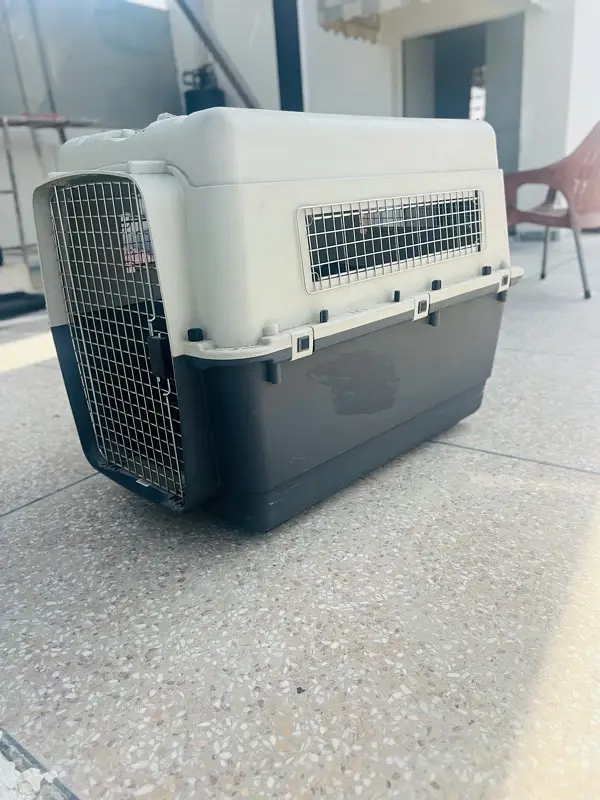 adult size dog cage — photo 3