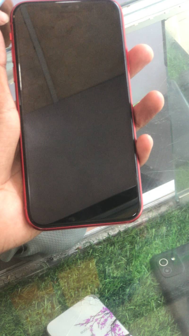 Apple iPhone 11 0