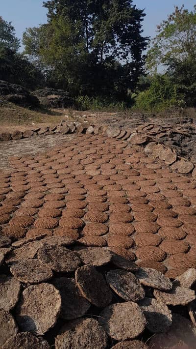 Desi Uplay for sale cow dung cakes Gujranwala