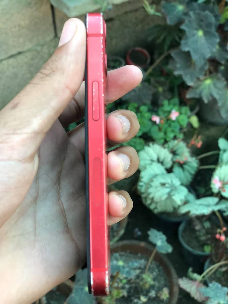 Apple iPhone 12 mini 5