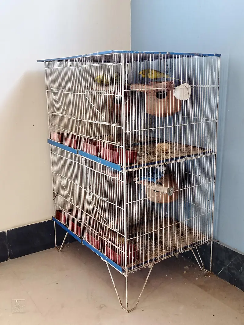 Four Portion Cage For Sale — photo 2