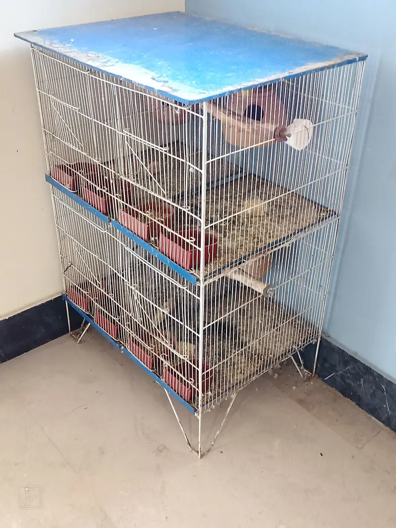 Four Portion Cage For Sale — photo 3