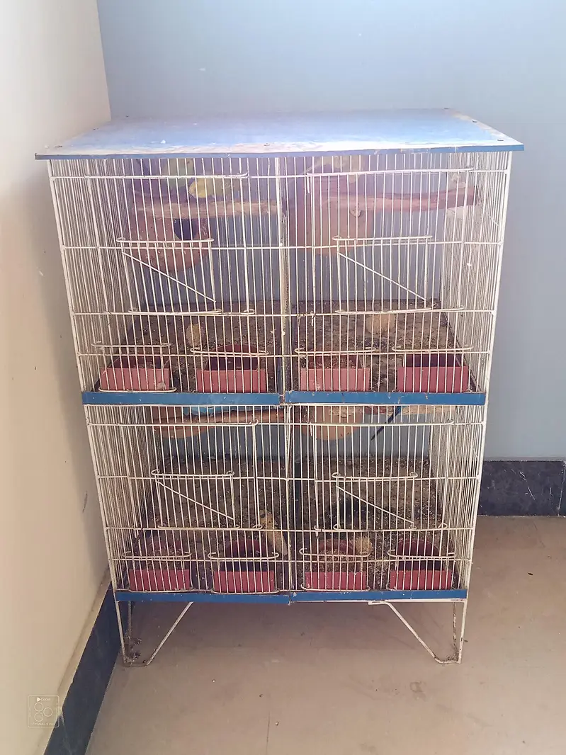 Four Portion Cage For Sale — photo 4