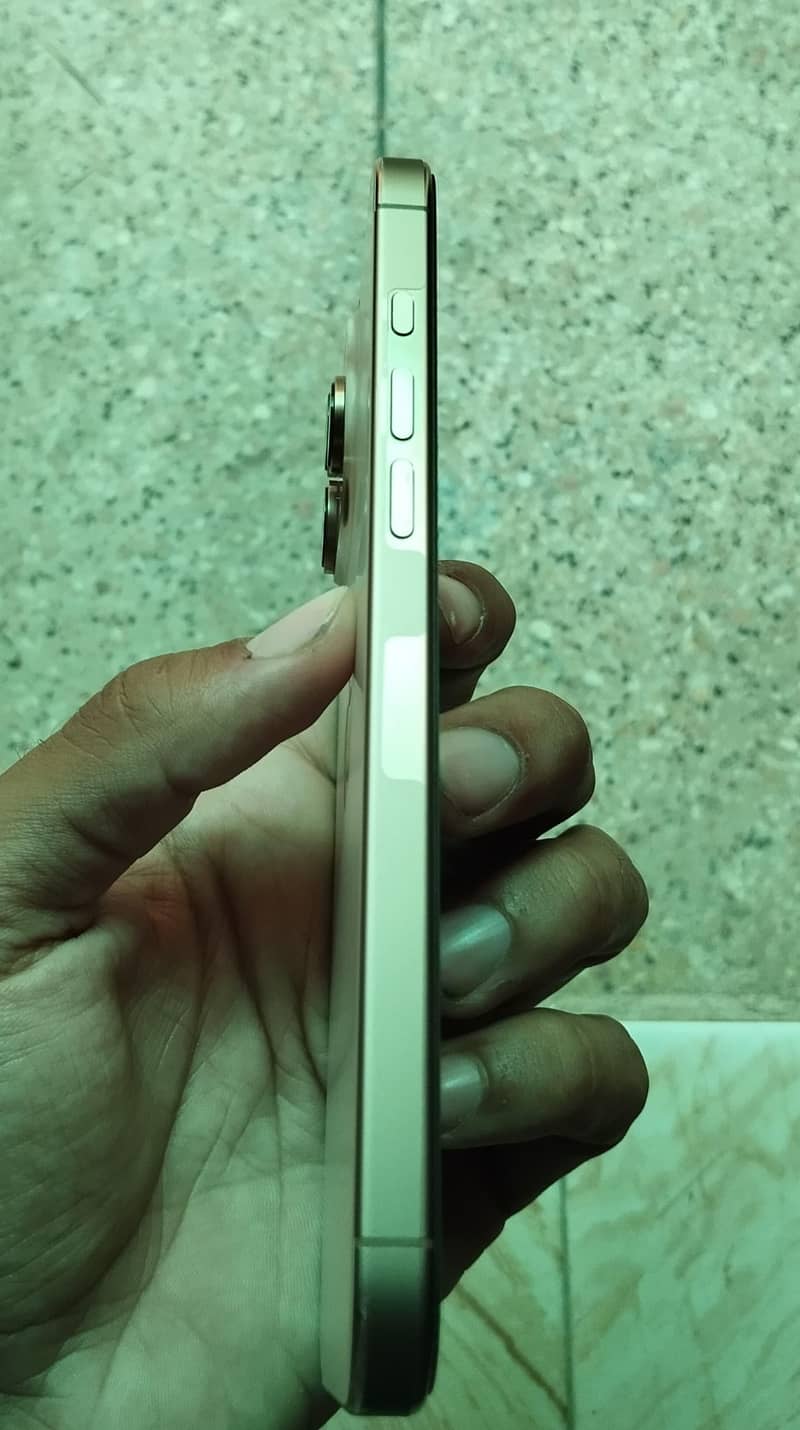 Apple iPhone 16 Pro Max 1