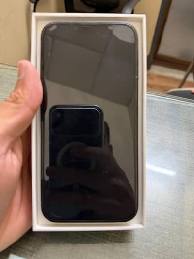 Apple iPhone 13
