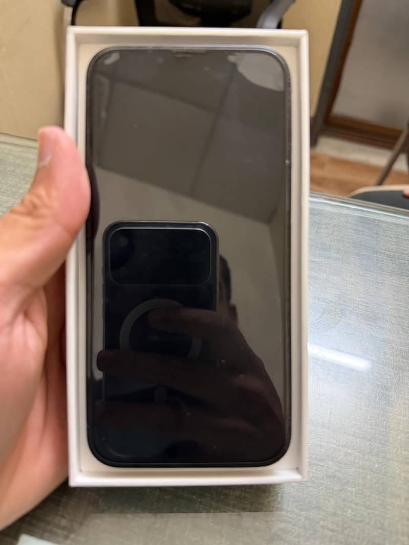 Apple iPhone 13 0
