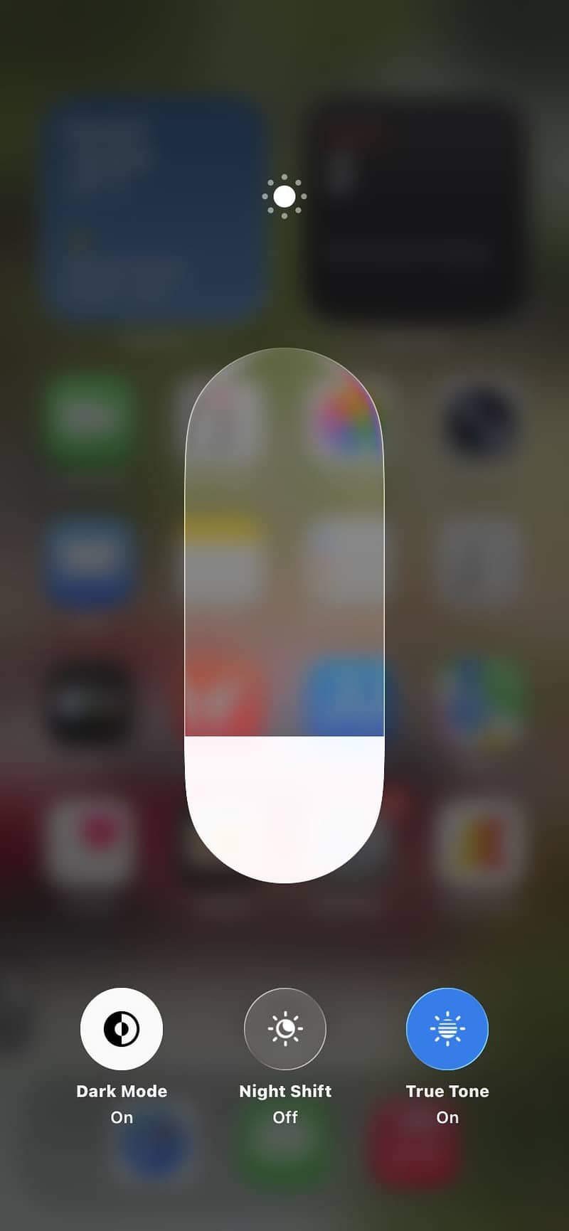 Apple iPhone 11 0