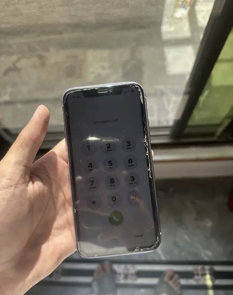 Apple iPhone 11 0