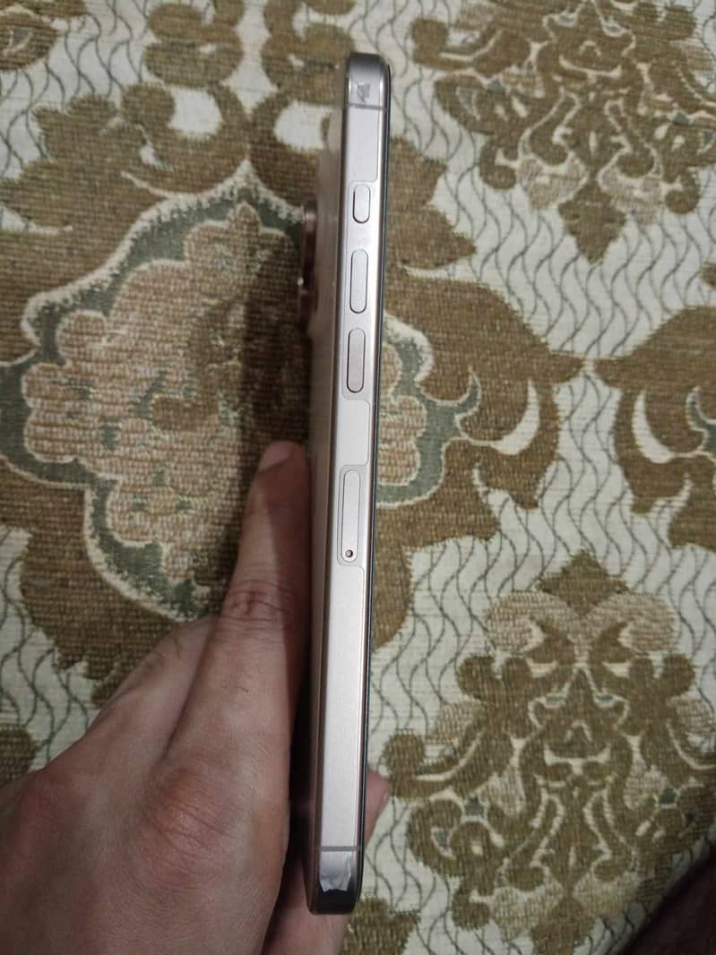 Apple iPhone 16 Pro Max 1