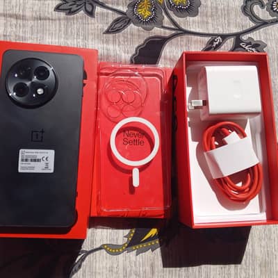 One Plus 13R
