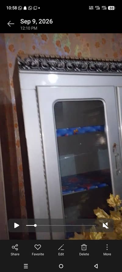 show case for sale
