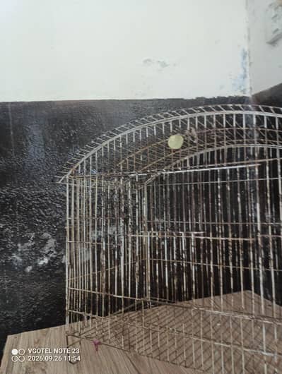Parrots Cages