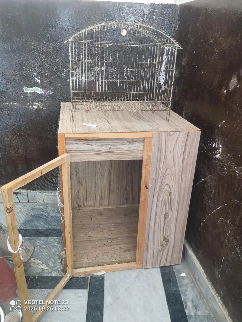Parrots Cages — photo 2