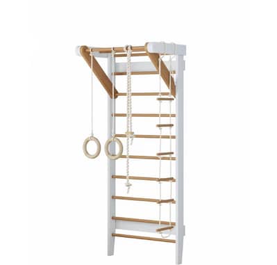 Home Ladder Gym for kids