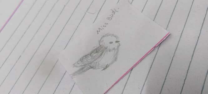 Miss Bird