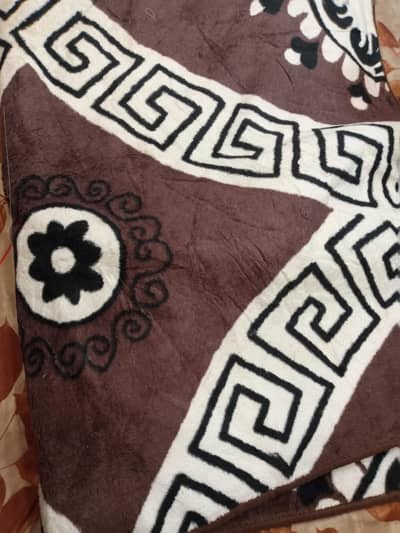 imported carpet