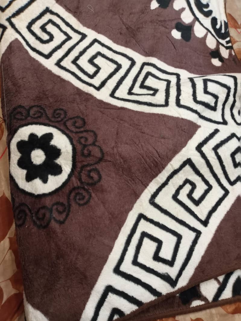 imported carpet 0