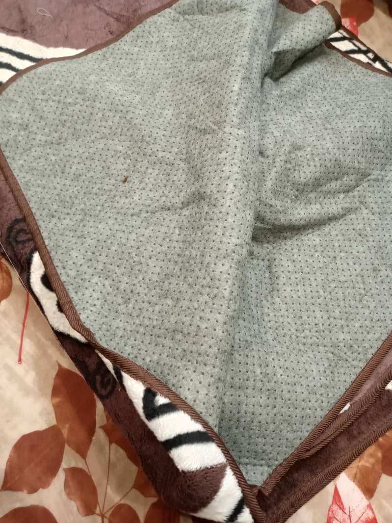 imported carpet 2