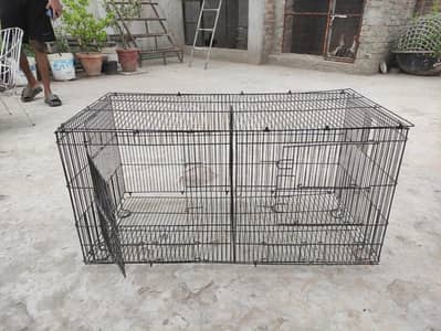 Birds used cage for sale