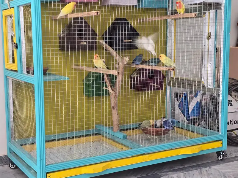 large wooden bird cage setup for sale — photo 2