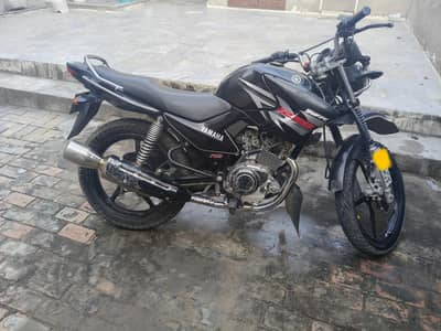 Japani Assembled Yamaha YBR for Sale